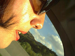 Im Profil