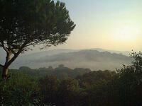2000m52q_MistiMorning.jpg (5644 Byte)